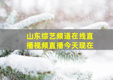 山东综艺频道在线直播视频直播今天现在