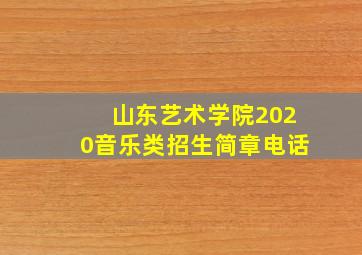 山东艺术学院2020音乐类招生简章电话