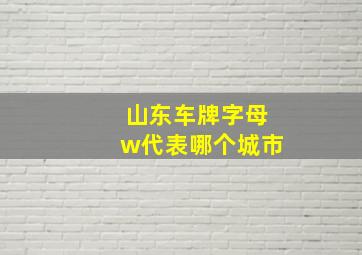 山东车牌字母w代表哪个城市