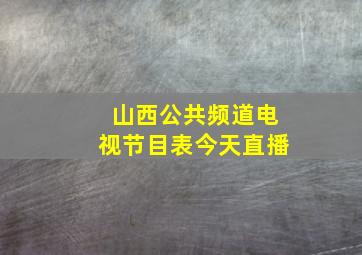 山西公共频道电视节目表今天直播