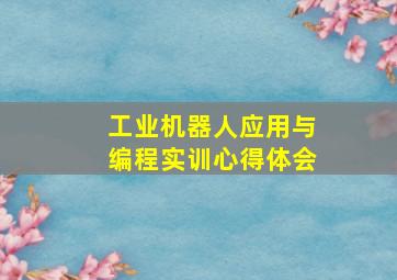 工业机器人应用与编程实训心得体会