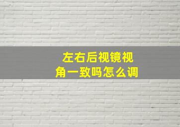 左右后视镜视角一致吗怎么调