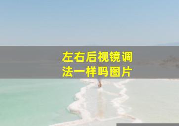 左右后视镜调法一样吗图片