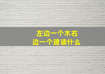 左边一个木右边一个建读什么