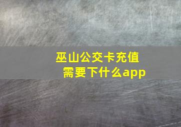 巫山公交卡充值需要下什么app