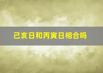 己亥日和丙寅日相合吗