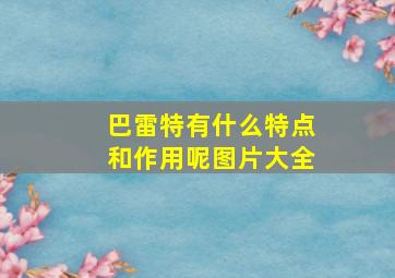 巴雷特有什么特点和作用呢图片大全