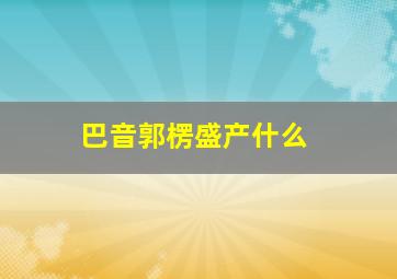 巴音郭楞盛产什么