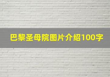 巴黎圣母院图片介绍100字