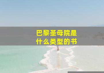 巴黎圣母院是什么类型的书