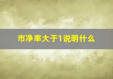 市净率大于1说明什么