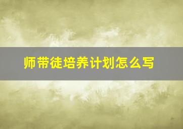 师带徒培养计划怎么写