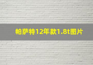 帕萨特12年款1.8t图片