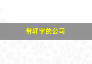 带轩字的公司