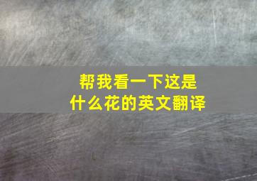 帮我看一下这是什么花的英文翻译