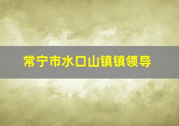 常宁市水口山镇镇领导