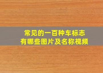 常见的一百种车标志有哪些图片及名称视频