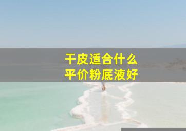 干皮适合什么平价粉底液好