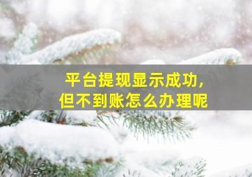 平台提现显示成功,但不到账怎么办理呢