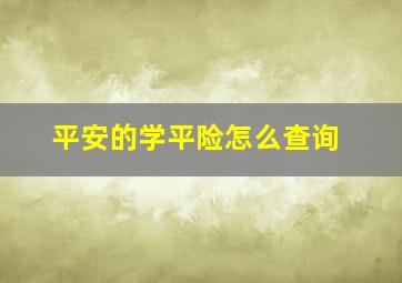 平安的学平险怎么查询