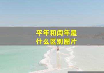 平年和闰年是什么区别图片