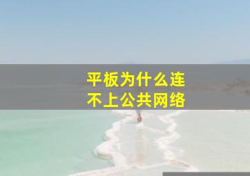 平板为什么连不上公共网络