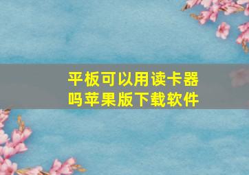 平板可以用读卡器吗苹果版下载软件