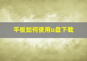 平板如何使用u盘下载