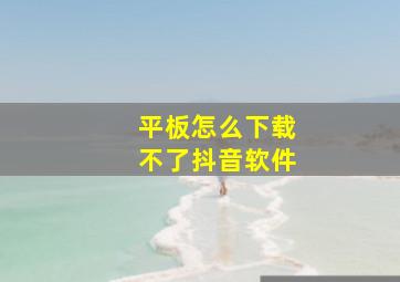 平板怎么下载不了抖音软件