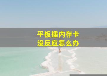 平板插内存卡没反应怎么办