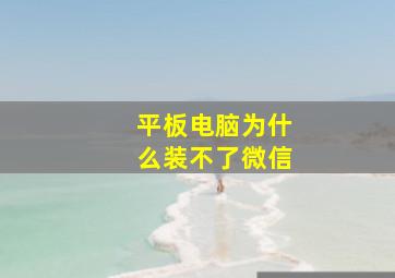 平板电脑为什么装不了微信