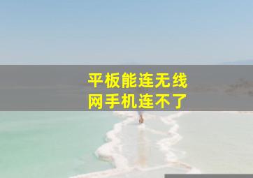 平板能连无线网手机连不了