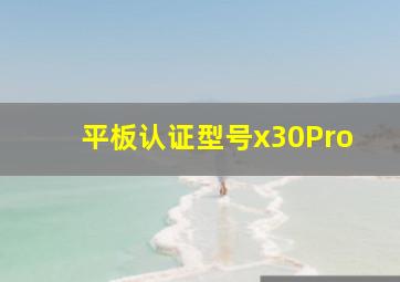 平板认证型号x30Pro