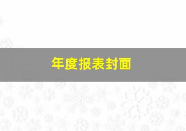 年度报表封面