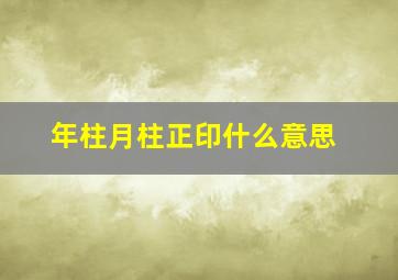 年柱月柱正印什么意思