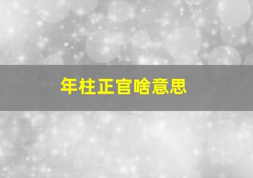 年柱正官啥意思