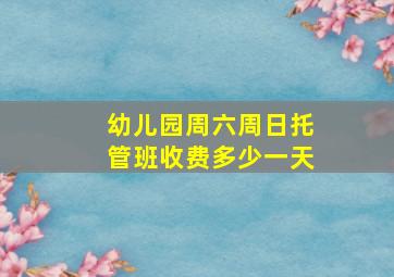 幼儿园周六周日托管班收费多少一天