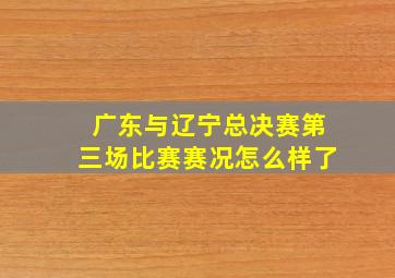 广东与辽宁总决赛第三场比赛赛况怎么样了