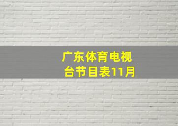 广东体育电视台节目表11月