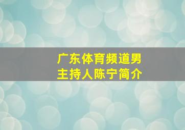 广东体育频道男主持人陈宁简介