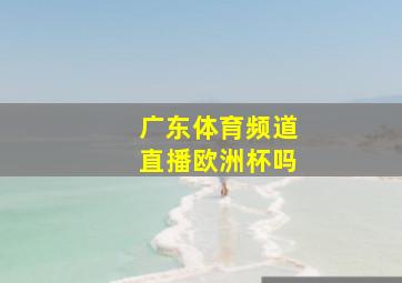 广东体育频道直播欧洲杯吗