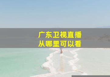 广东卫视直播从哪里可以看