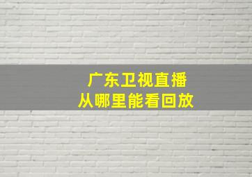 广东卫视直播从哪里能看回放