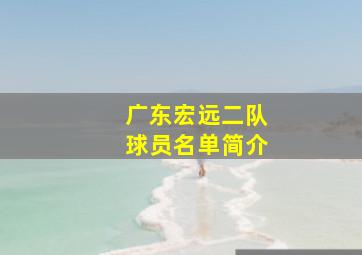 广东宏远二队球员名单简介