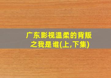 广东影视温柔的背叛之我是谁(上,下集)