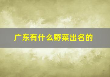 广东有什么野菜出名的