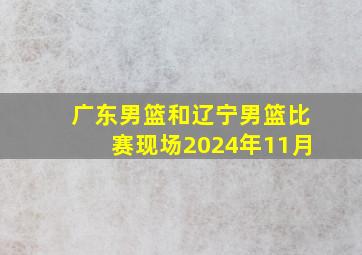 广东男篮和辽宁男篮比赛现场2024年11月