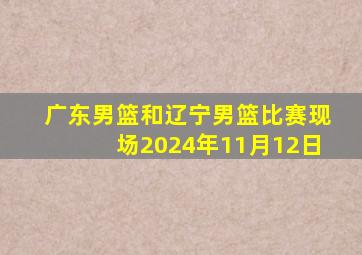 广东男篮和辽宁男篮比赛现场2024年11月12日