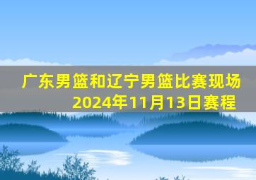 广东男篮和辽宁男篮比赛现场2024年11月13日赛程