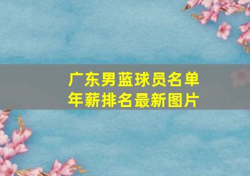 广东男蓝球员名单年薪排名最新图片